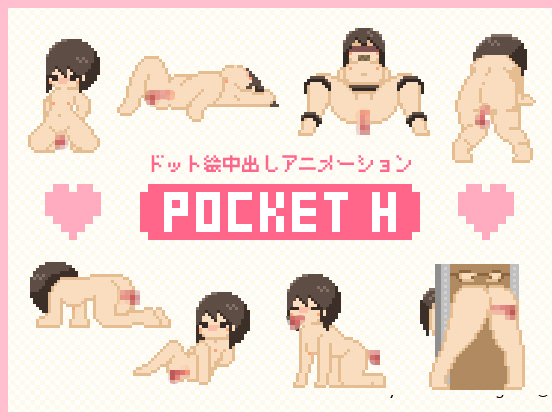 Pocket H