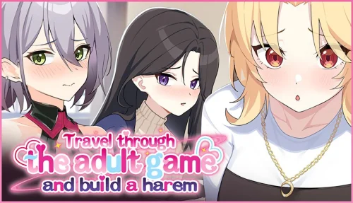 Travel through the adult game and build a harem